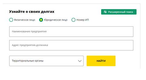 Проверка компании по ИНН: подробная инструкция