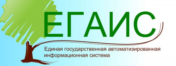 Личный кабинет ЕГАИС лес: регистрация и функции