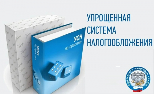 Можно ли считать займы доходом при УСН: законодательные нормы Можно ли считать займы доходом при УСН: законодательные нормы