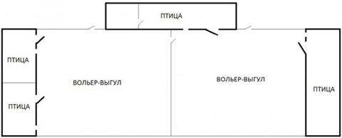 Индюки как бизнес: пошаговый план действий