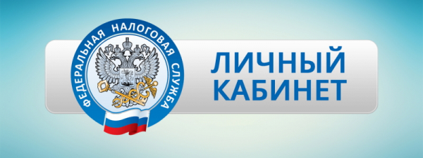 Как подать декларацию ИП онлайн через личный кабинет налогоплательщика Как подать декларацию ИП онлайн через личный кабинет налогоплательщика