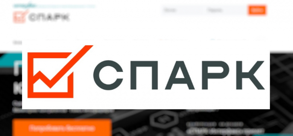 Личный кабинет в информационной системе Спарк &ndash; функционал, регистрация, вход