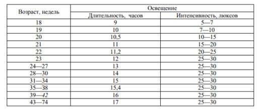 3 этапа запуска бизнеса по разведению кур-несушек и бройлеров 3 этапа запуска бизнеса по разведению кур-несушек и бройлеров