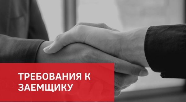 Оформление онлайн-займа на карту в Беларуси: выбор МФО, требования к заемщику