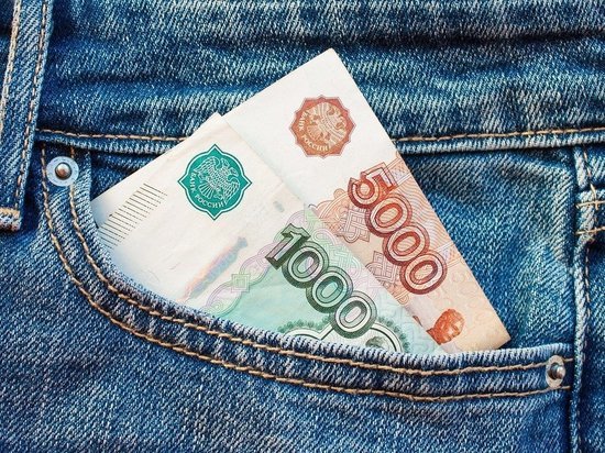 В Госдуме предложили отменить МРОТ из-за его вреда экономике