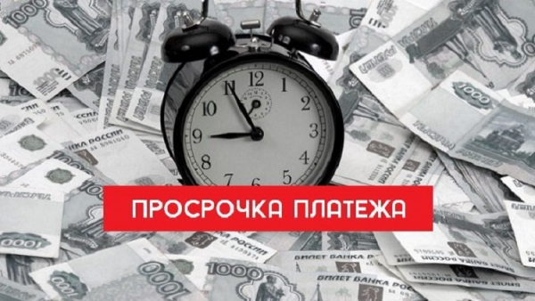 Как оформить займ на полгода: пошаговая инструкция, выбор МФО Как оформить займ на полгода: пошаговая инструкция, выбор МФО