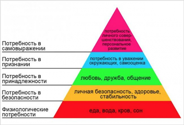 Перспективный бизнес в России: 4 направления с примерами Перспективный бизнес в России: 4 направления с примерами