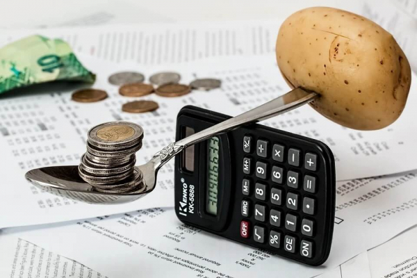 Что такое доходные сайты и реально ли на них заработать новичку: личный опыт