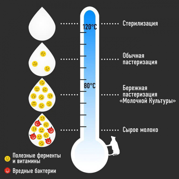 Оборудование для производства сыра: стоимость и характеристика Оборудование для производства сыра: стоимость и характеристика