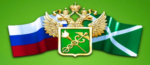 Регистрация и вход в личный кабинет ФТС Регистрация и вход в личный кабинет ФТС