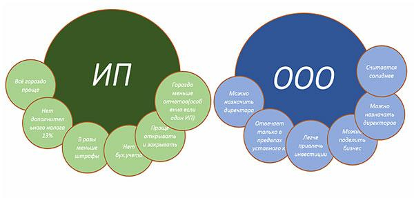 4 составляющих бизнес-плана по заморозке овощей
