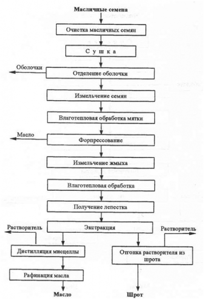 Какое нужно оборудование для производства подсолнечного масла?