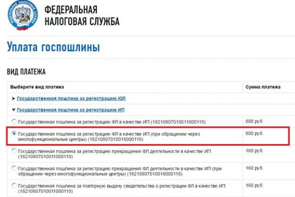 Как открыть ИП в Москве: инструкция и образцы заявлений