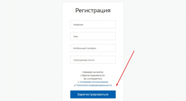 Портал государственных услуг &ndash; как создать личный кабинет и пользоваться системой