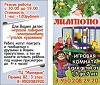 Игровой комплекс для детей, как идея для бизнеса Игровой комплекс для детей, как идея для бизнеса