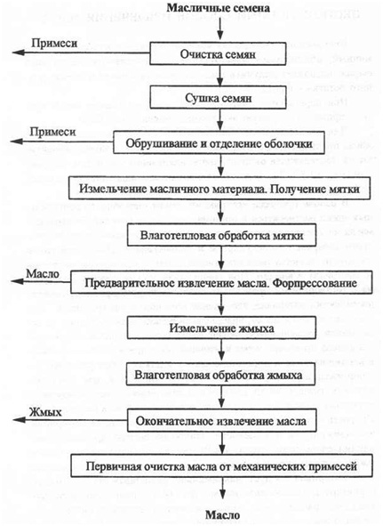 Какое нужно оборудование для производства подсолнечного масла?