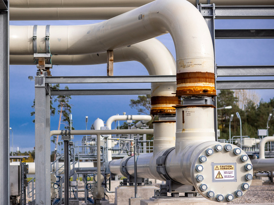 Раскрыт план отказа Европы от российских нефти и газа