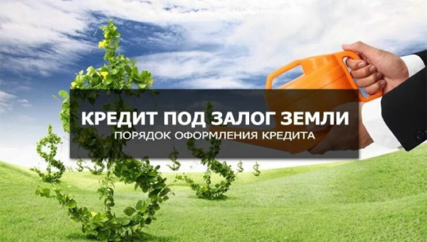 Оформление займа под залог земельного участка: преимущества и недостатки, требования к объекту Оформление займа под залог земельного участка: преимущества и недостатки, требования к объекту