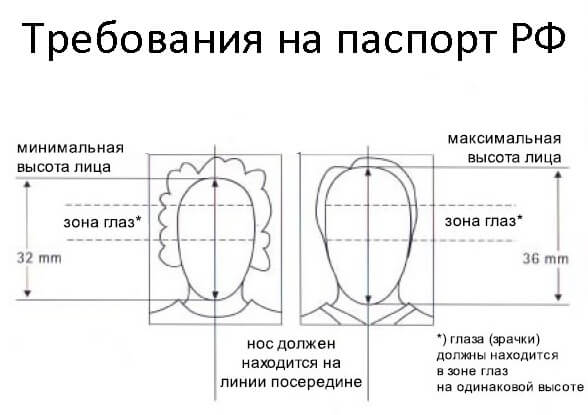 Фото на документы: бизнес с небольшими вложениями